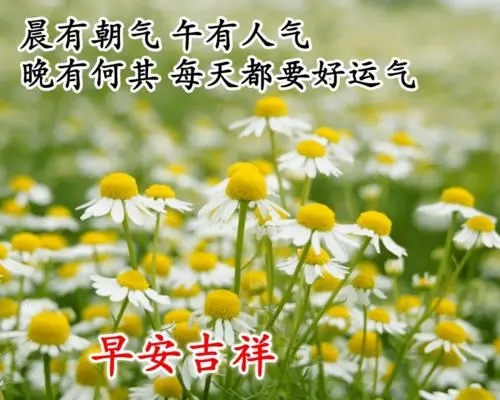 牵挂思念早上祝福语