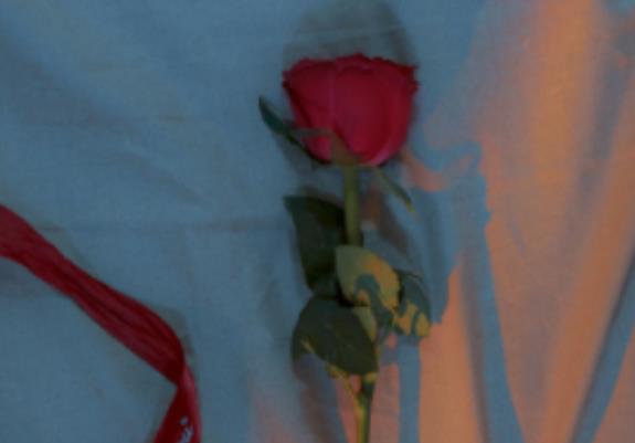 描写人物性格开朗的段落