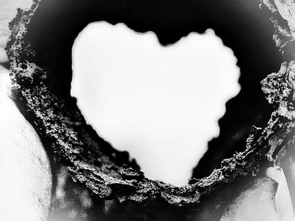 婚礼美好的短句