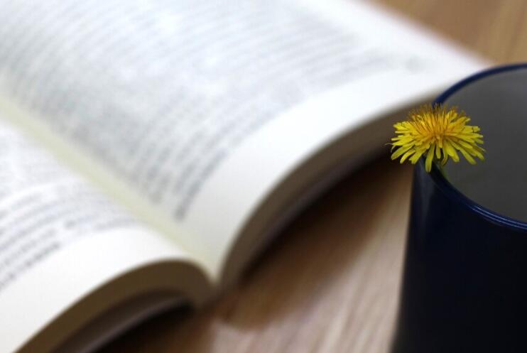 小学生读书笔记摘抄大全