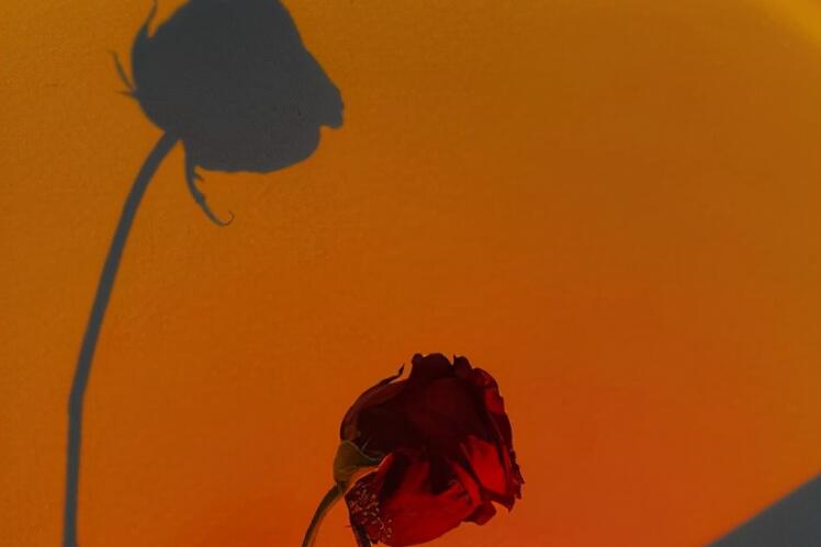 十字以内的情话文案一百句