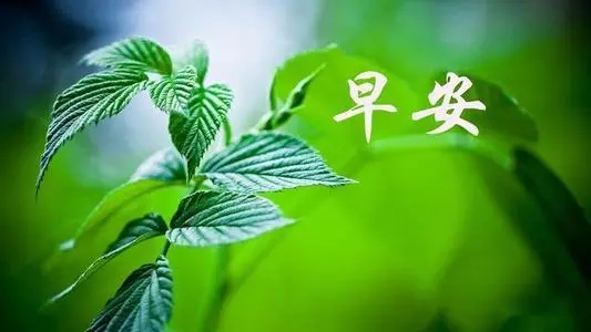 2024年5月17日早安心语