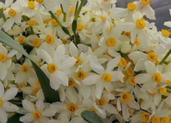 致美好的一天的句子文案