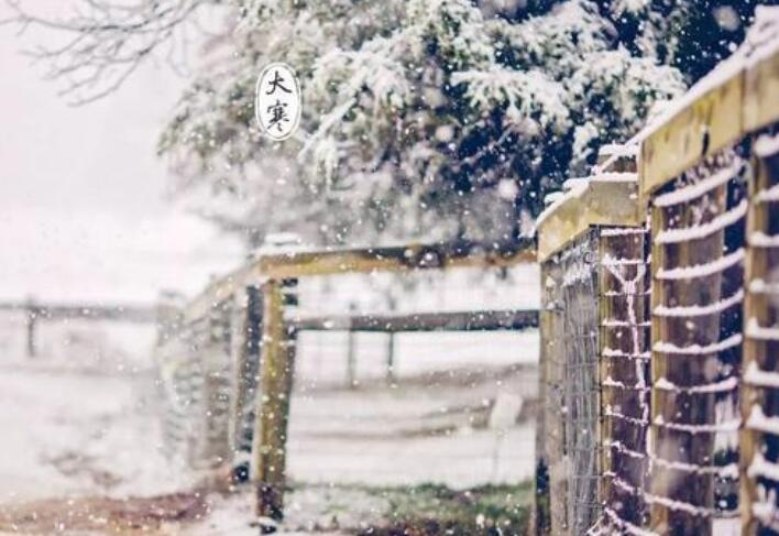 清晨下雪的短语