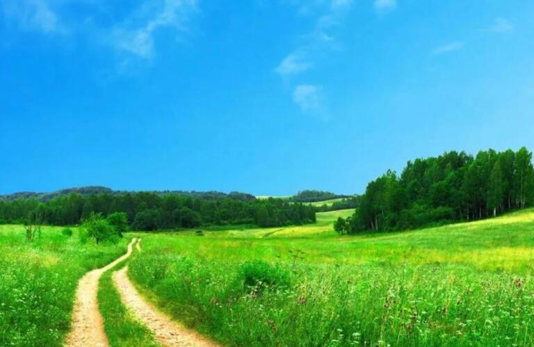 富有哲理的句子文案段落250字