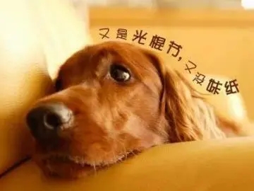 光棍说说文案搞笑