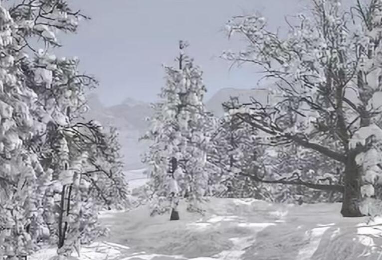 描写冬天的作文五句话