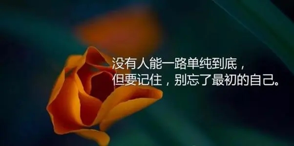 感动所有人的一句话心情