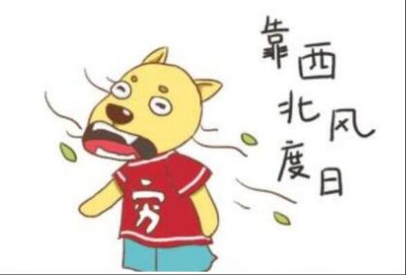 关于喝西北风的经典短语