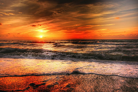 诚实待人终有得语录文案