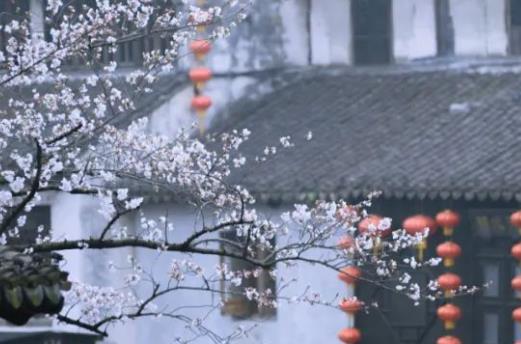 描写花的好句子文案大全