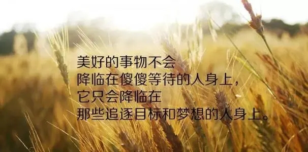 正能量阳光清新句子文案