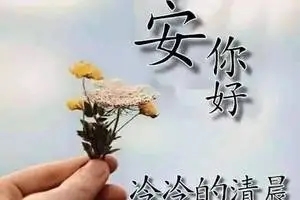 暖心四字祝福语