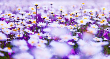 描写景物的好词好句文案简短