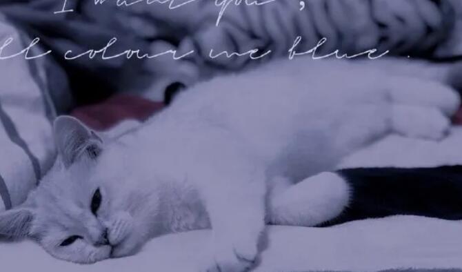 爱情中最伤感的一句话是