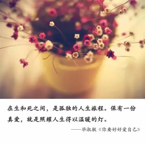 表示喜欢自己的句子文案