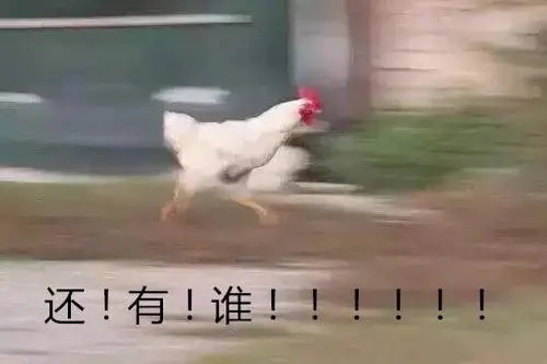 搞笑动态说说文案大全