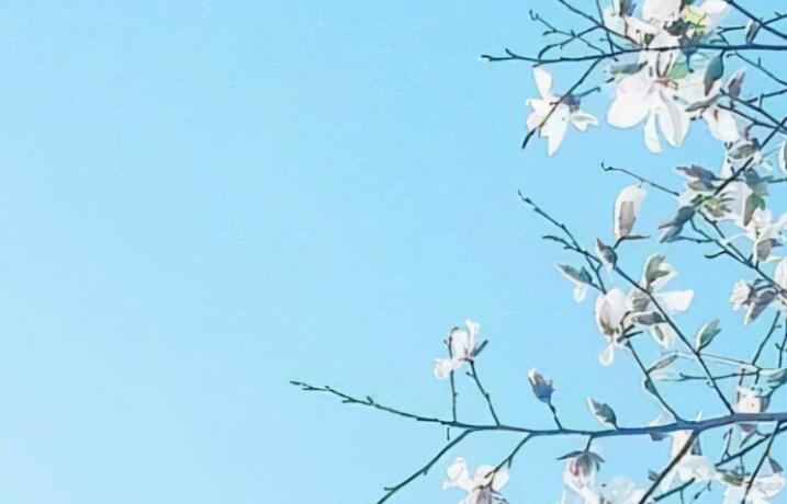 人生格言励志短句