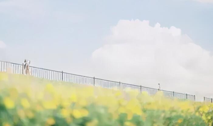 关于谦虚的好段摘抄