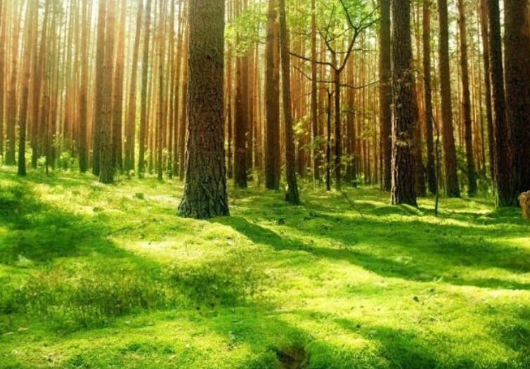 关于榜样的优美段落