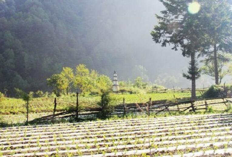 表达乡村的句子文案