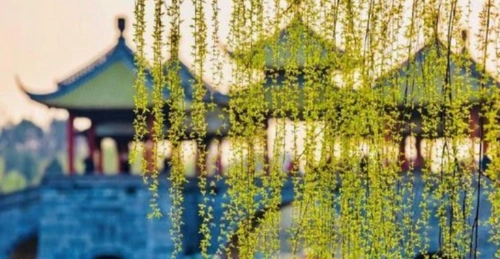 思念入骨的诗句文案