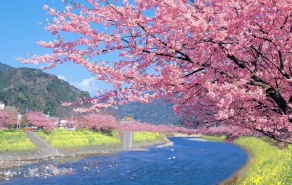 保护环境的句子文案40字