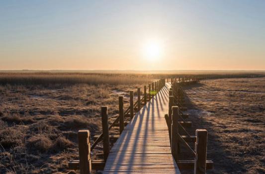 形容特别忙碌的句子文案