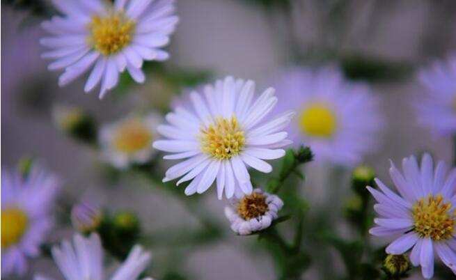 励志成熟稳重的短句