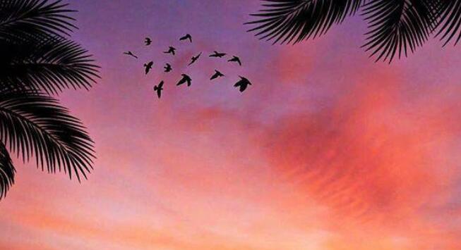 佛系短句干净治愈