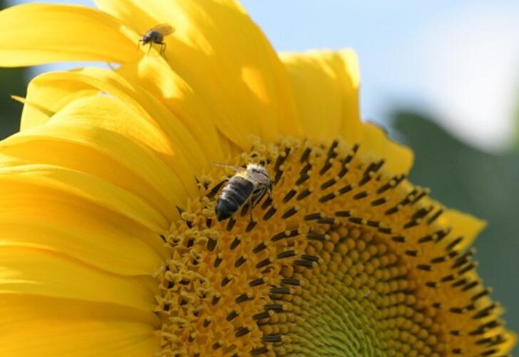 满血复活的经典语录文案