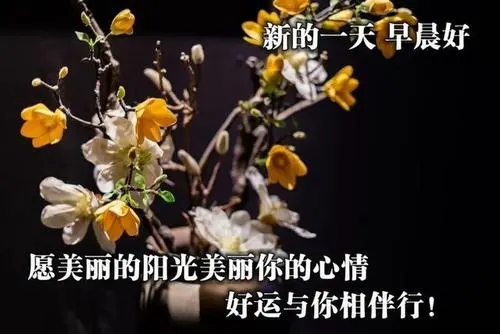 好心情迎接新的一天的语句文案