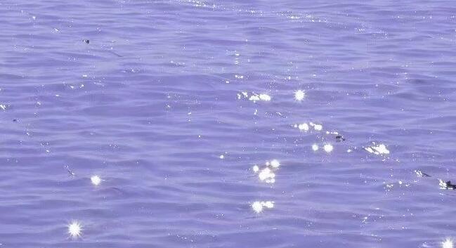 关于夏天的短句