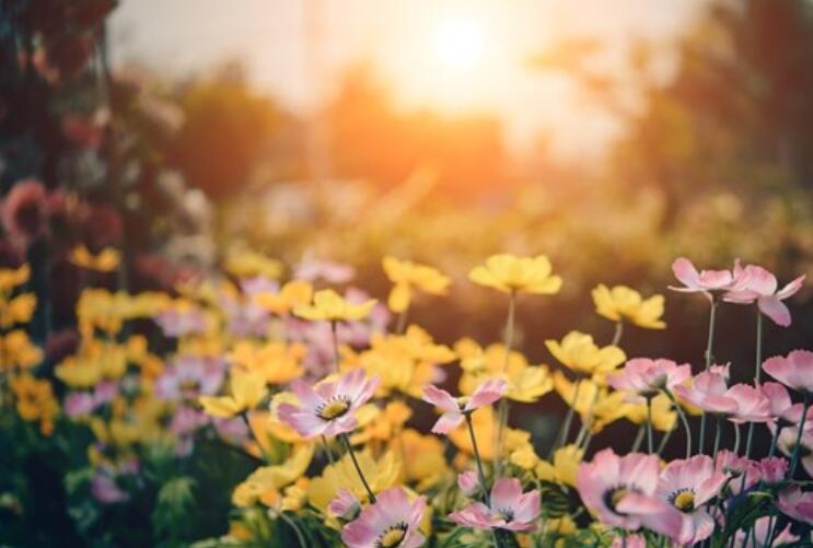 人生后悔的经典语录文案