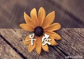 早晨的伤感句子文案发朋友圈