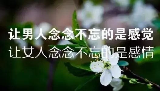 女人的生活感悟短语