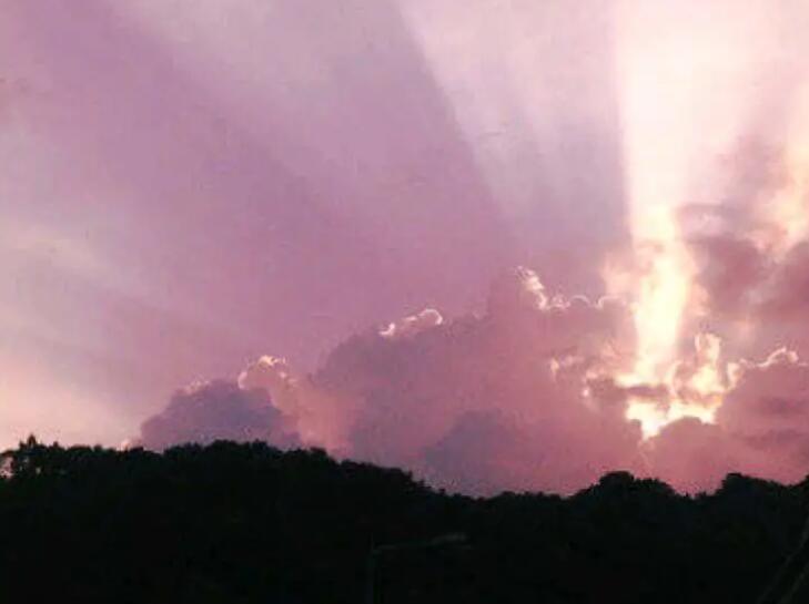 套路男朋友的聊天对话