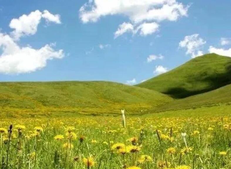 讽刺不懂感恩的句子文案