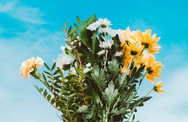 有关幸福的名人名言或语句文案