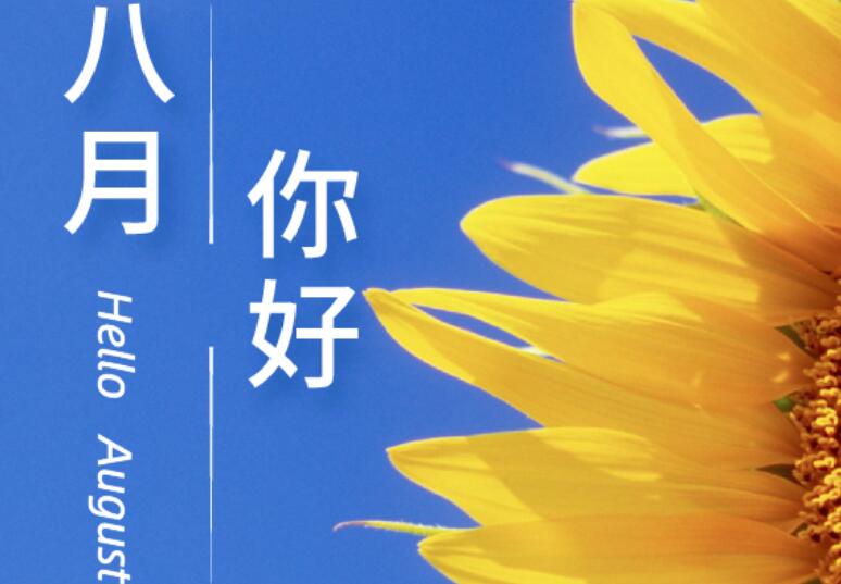 关于八月的唯美句子文案