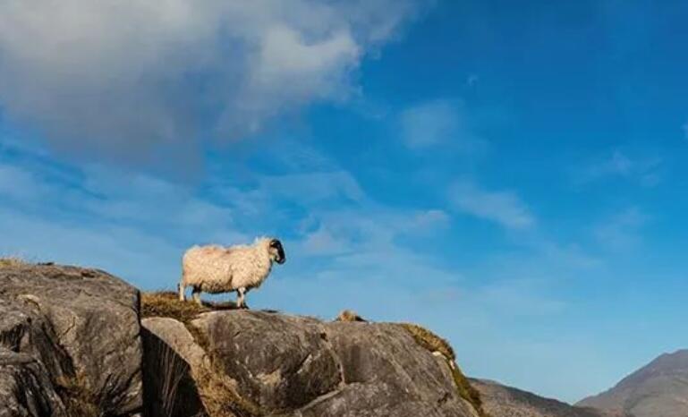 搞笑表达心情的句子文案