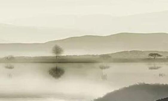 诗经中描写爱情最悲伤的句子文案