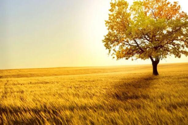 正能量的短句子文案十字