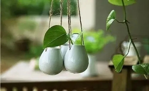 忍让的经典句子文案