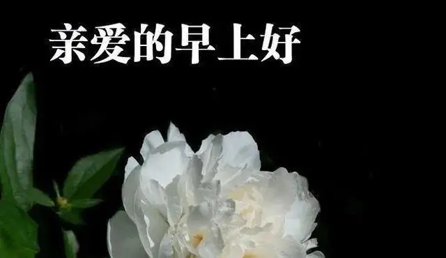 情侣说说文案早安短句