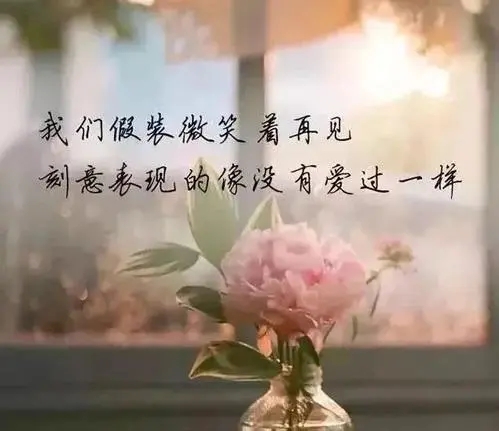 优美的句子文案摘抄小学生短的