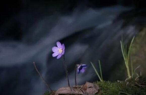 30个好句子文案短的