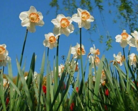 送给自己的励志句子文案