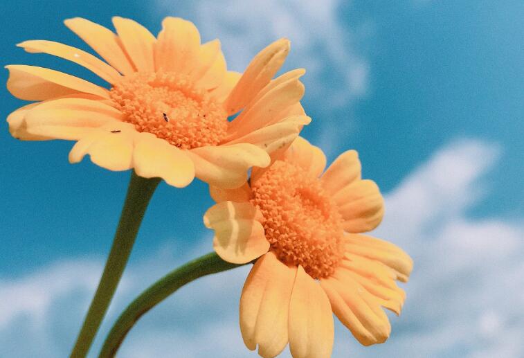 夫妻正能量奋斗的句子文案