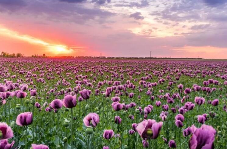 换工作了新的开始励志说说文案